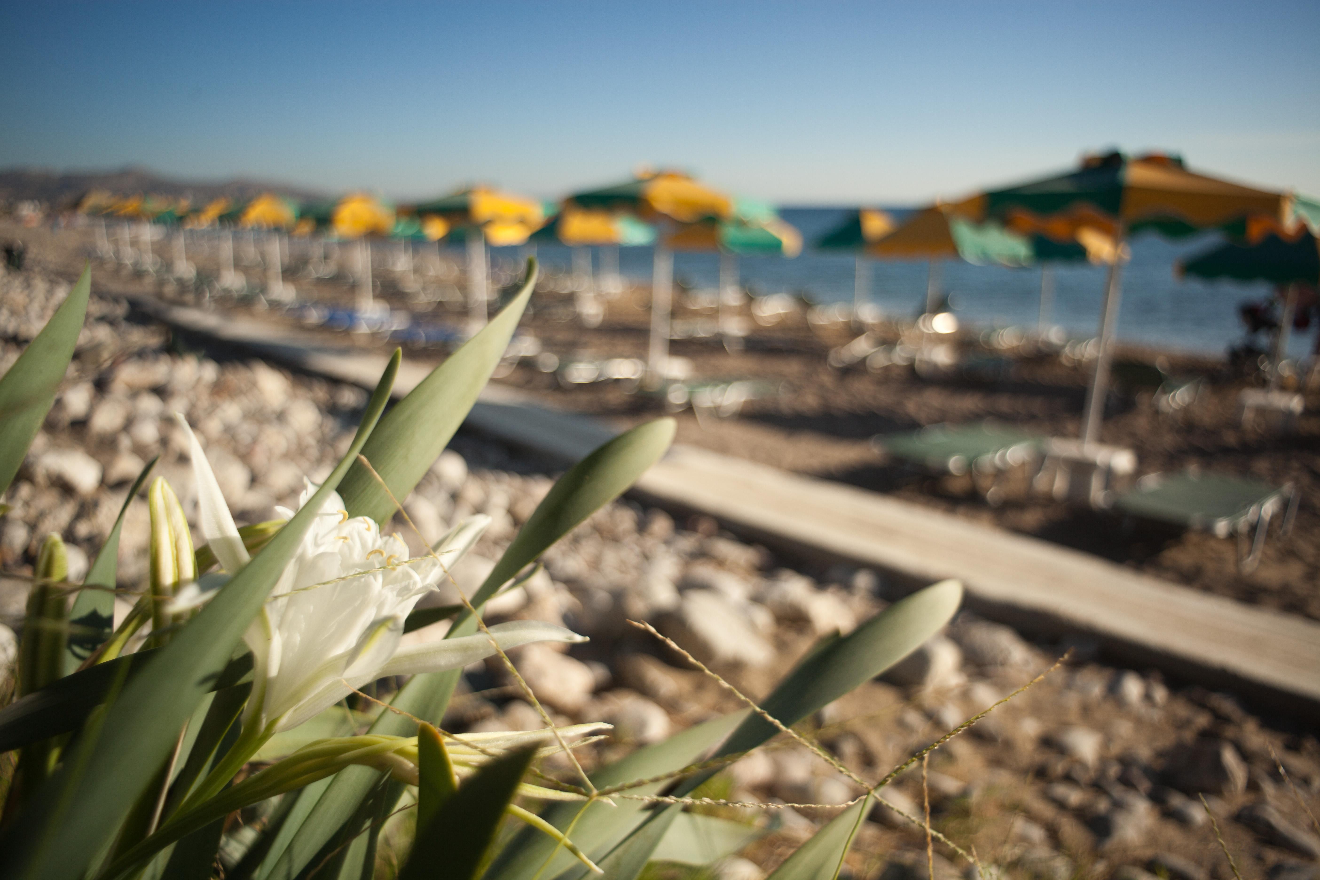 Irene Palace Beach Resort Kolymbia Exterior foto